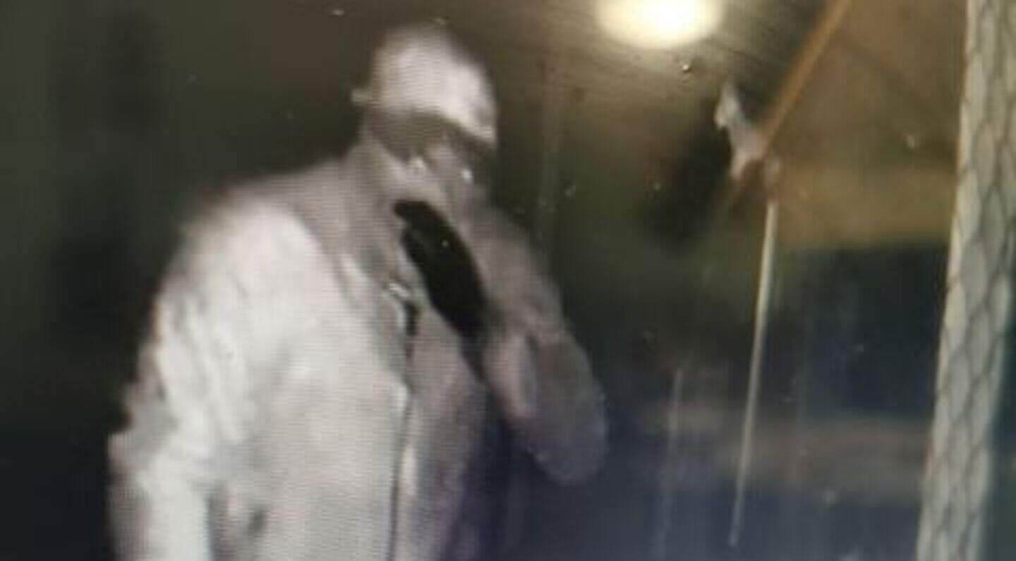 Suspects caught on camera in attempted break in at dog rescue centre ...