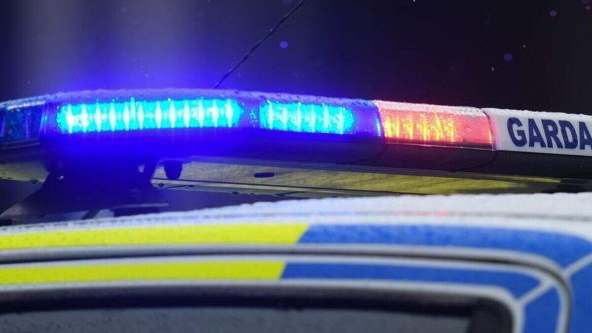 Two men arrested after Garda car is rammed in terrifying early-morning ...