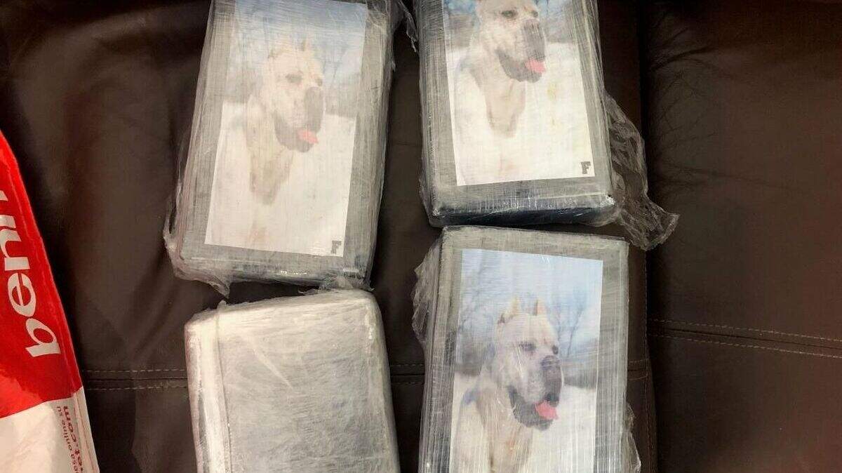 Cocaine and cash emblazoned with the image of a dog found hidden in ...