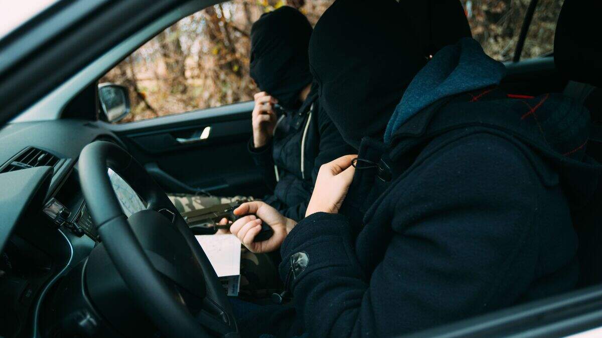 Bank robber with Belfast roots opens up on life of crime and his brush ...