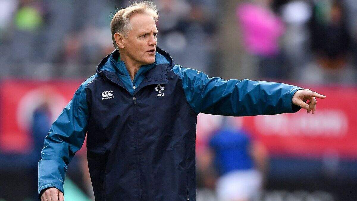 Schmidt appointed World Rugby director of rugby and high performance ...