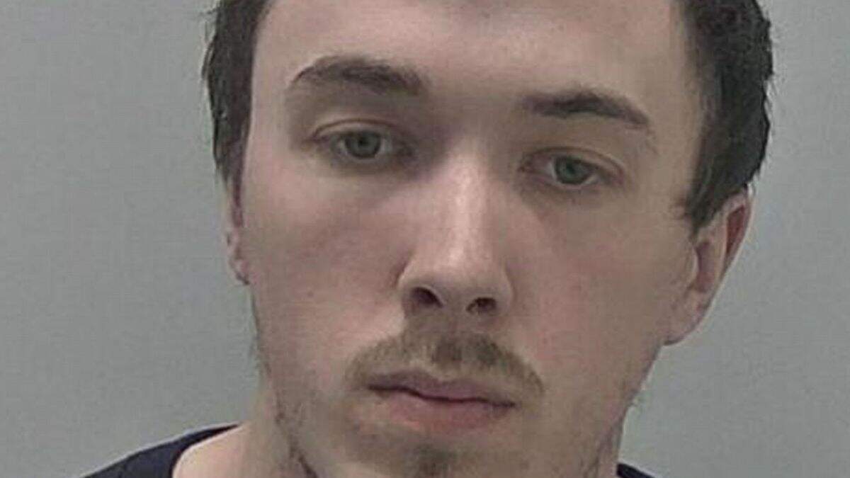 Man (28) on the run after conviction for failing to care for 55 dogs ...