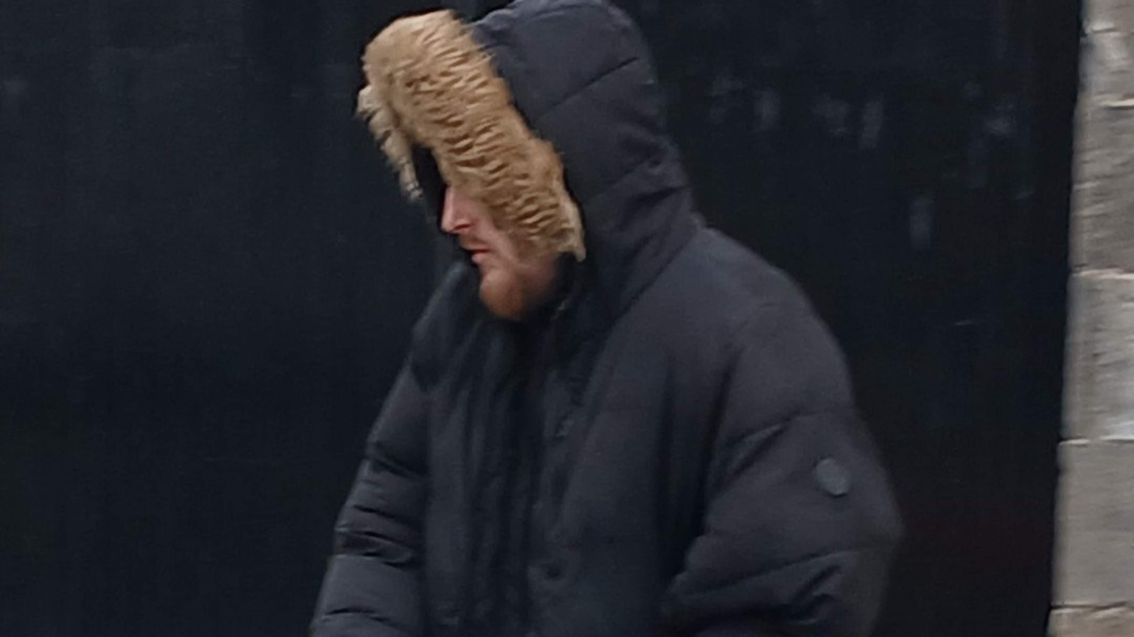 Deli worker exposed penis and tried to urinate on gardaí before falling through garden shed