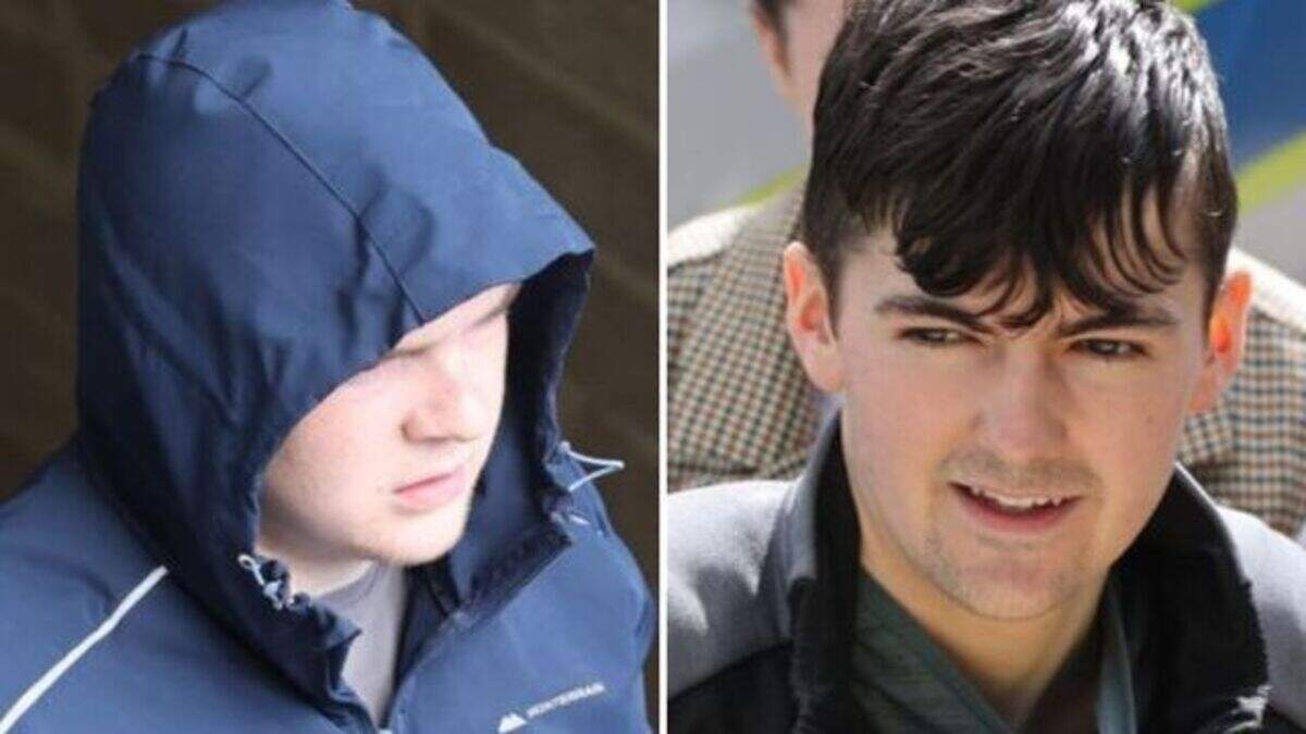 Two Dublin teenagers charged with murdering Croatian man Josip Štrok ...