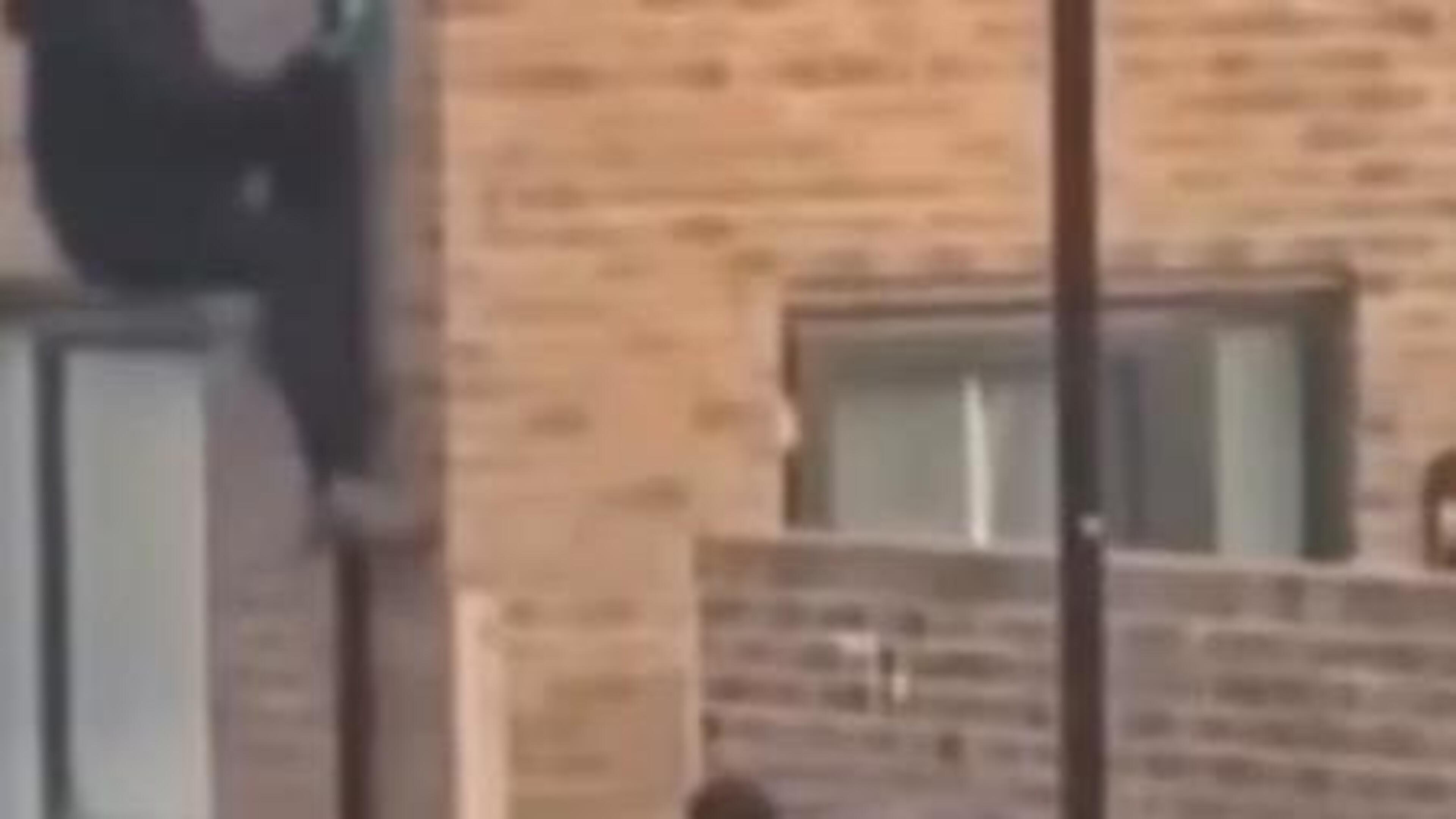 Spider-Man thief clambers up wall of house in brazen broad daylight robbery