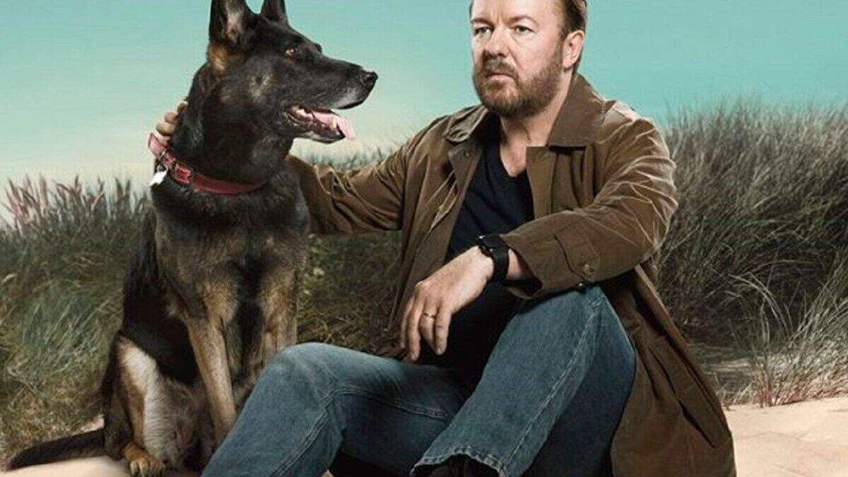 Ricky Gervais joins fight to save ex-Garda’s dog from being put down ...