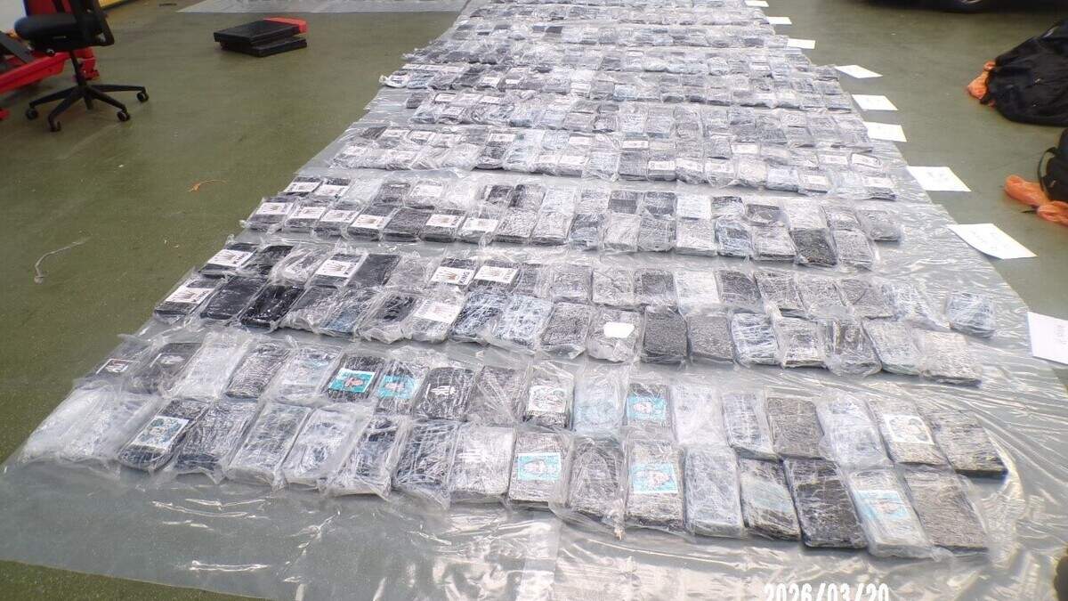Cops nab whopping one tonne haul of cocaine in London port | Crime World