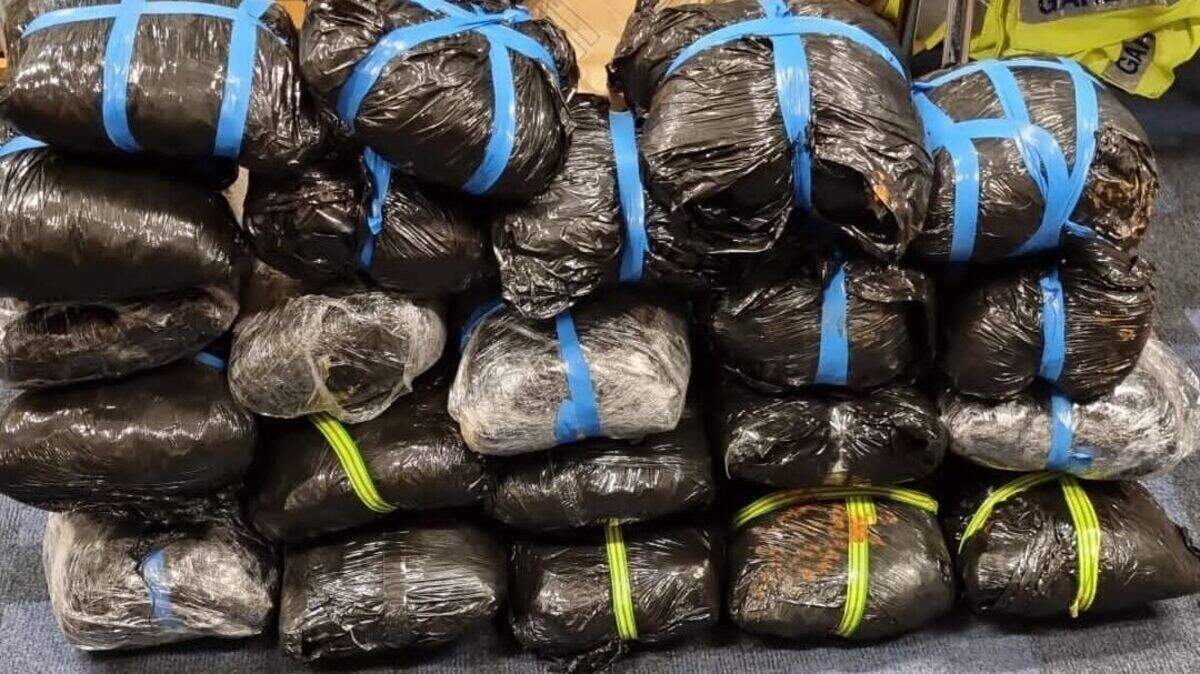 Man (40s) arrested after cannabis worth €360k seized in Co Carlow ...