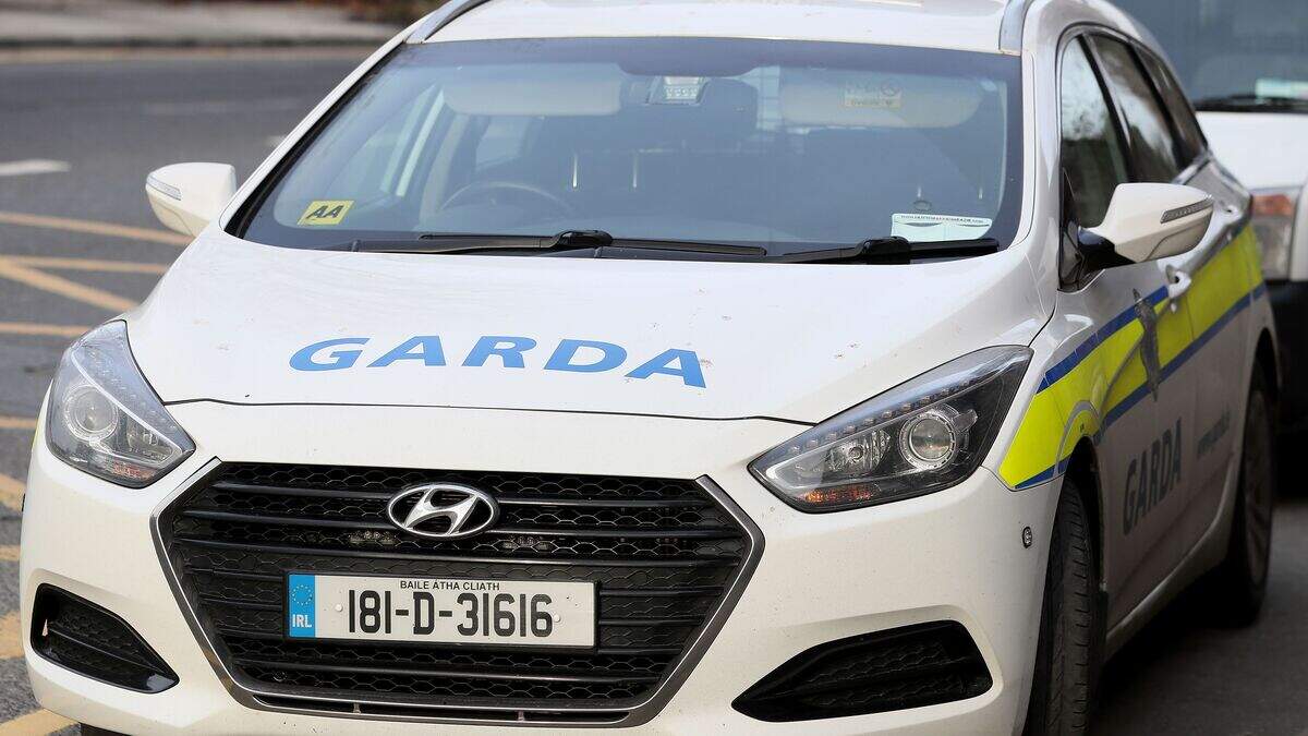 Woman dies and man injured after being struck by car in Charleville ...