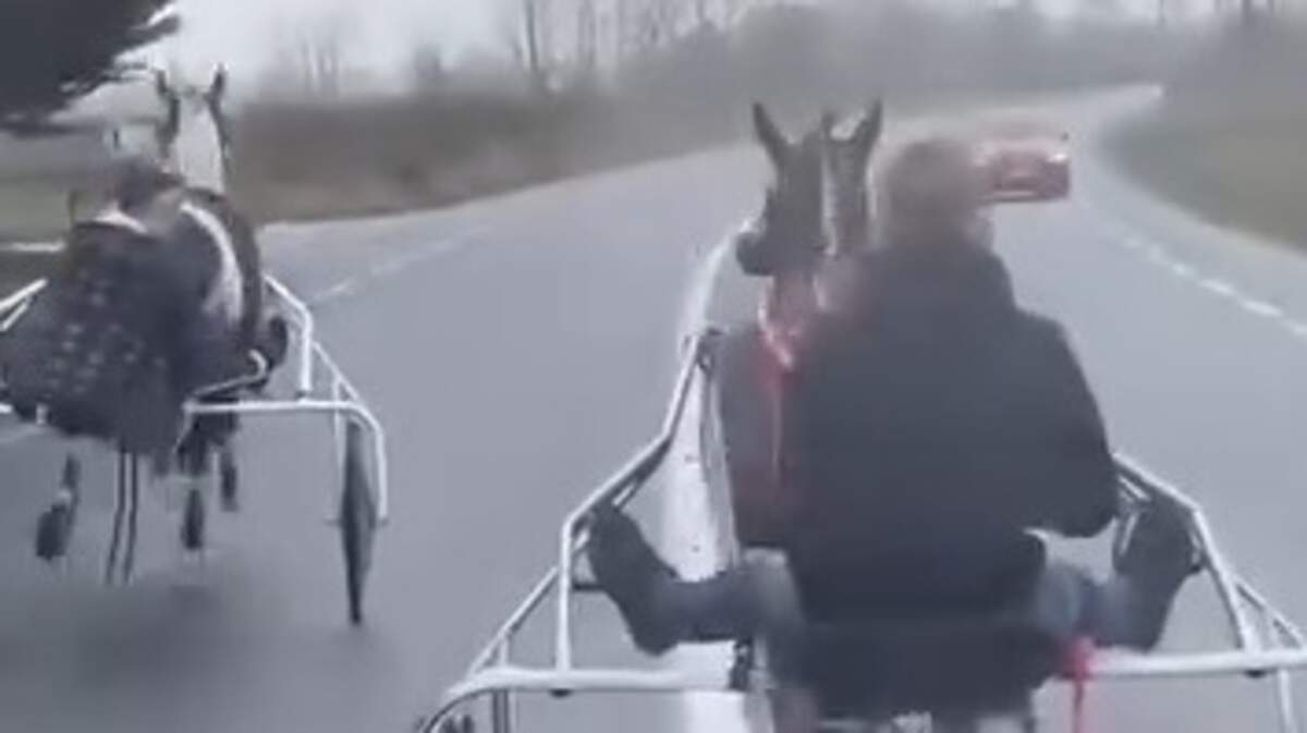 Watch: M9 crash teen Alex McCarthy featured in dangerous sulky race video