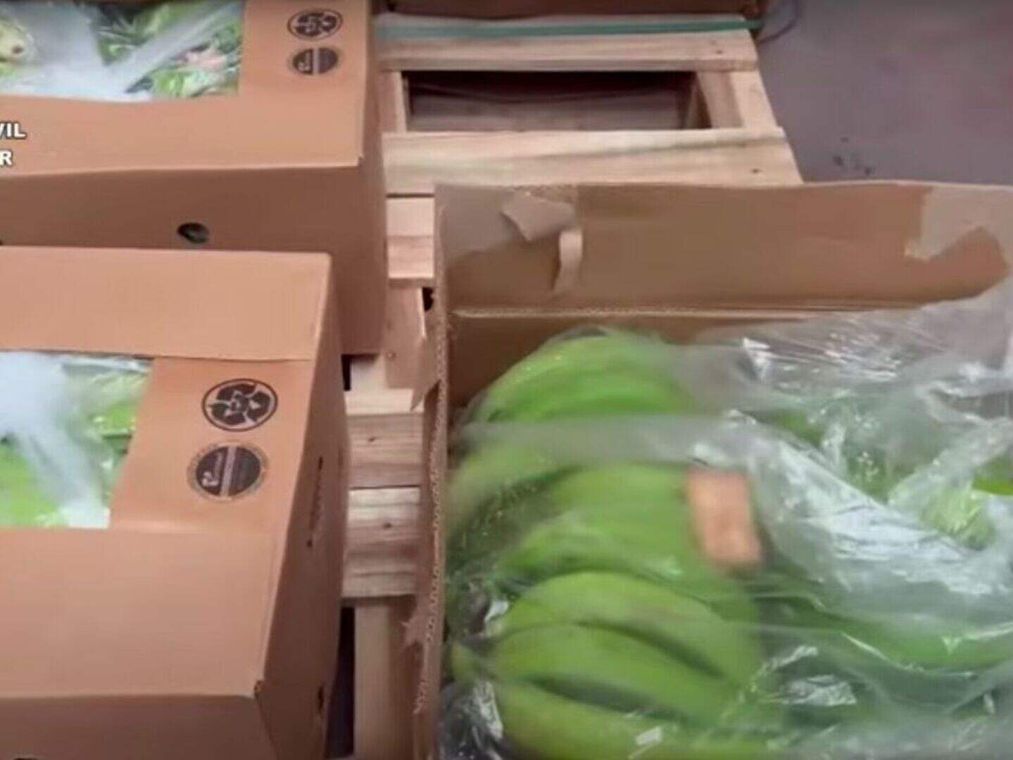 Spanish narco boss hit by seizure of 6.5 tonnes of cocaine hidden in ...