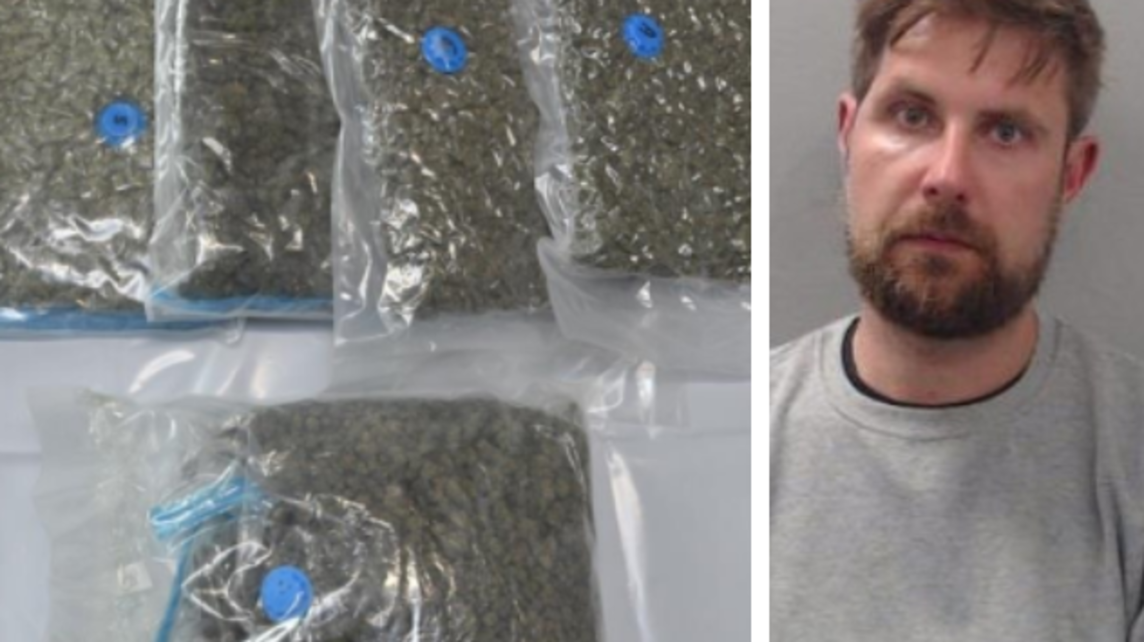 Van driver who tried smuggling €250k of cannabis over the border claims he was delivering hot tub