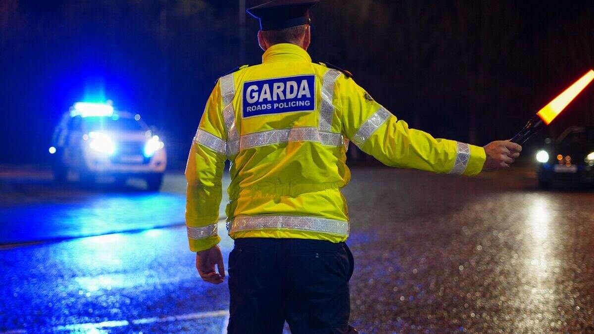 Dublin Deputy Mayor's family badly shaken after gang destroy one car and steal another from home
