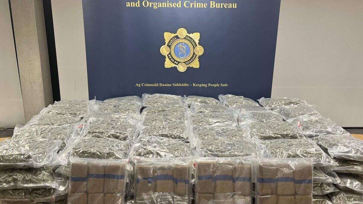Man (20s) arrested and €3.92m of cannabis seized in Co Dublin in anti ...