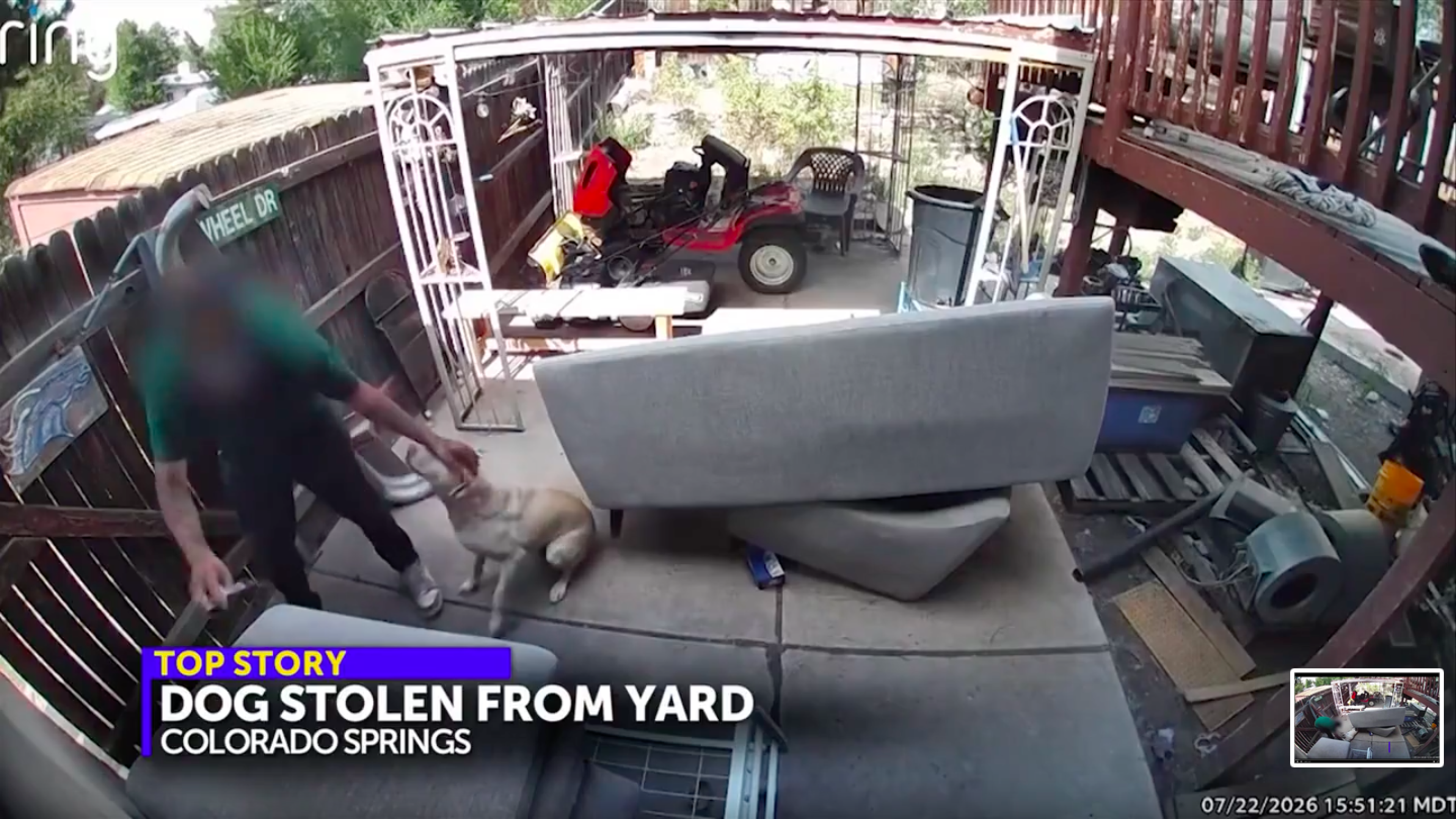 Thief apologises for stealing dog, saying they were ‘very drunk’