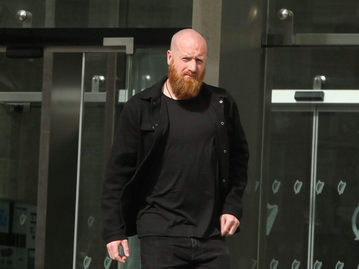 Lee Roche: Dubliner who punched partner and dragged her headfirst down ...