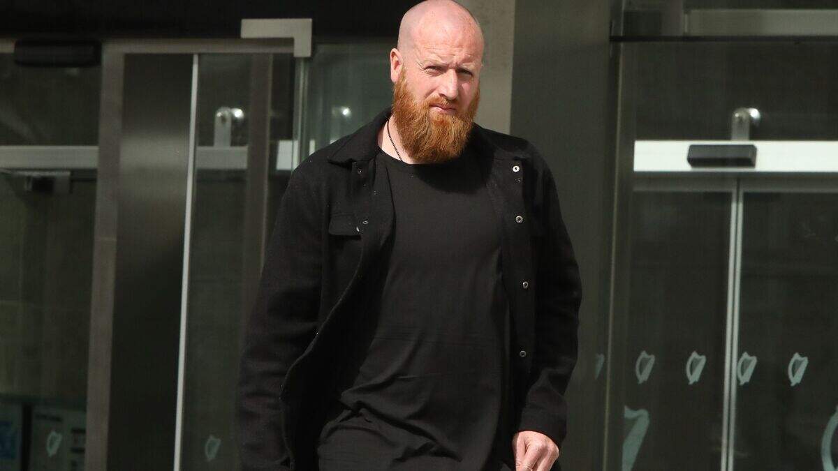 Lee Roche: Dubliner who punched partner and dragged her headfirst down ...