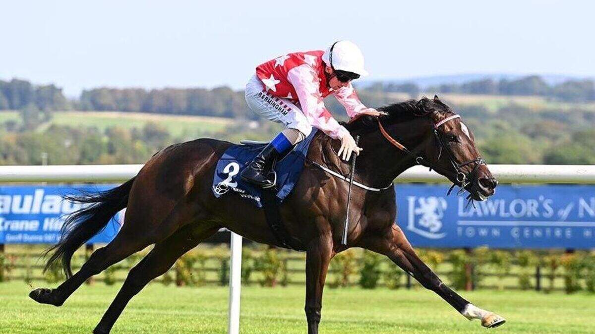 Late call pays off as Carla Ridge cruises to a 10-length win at the ...