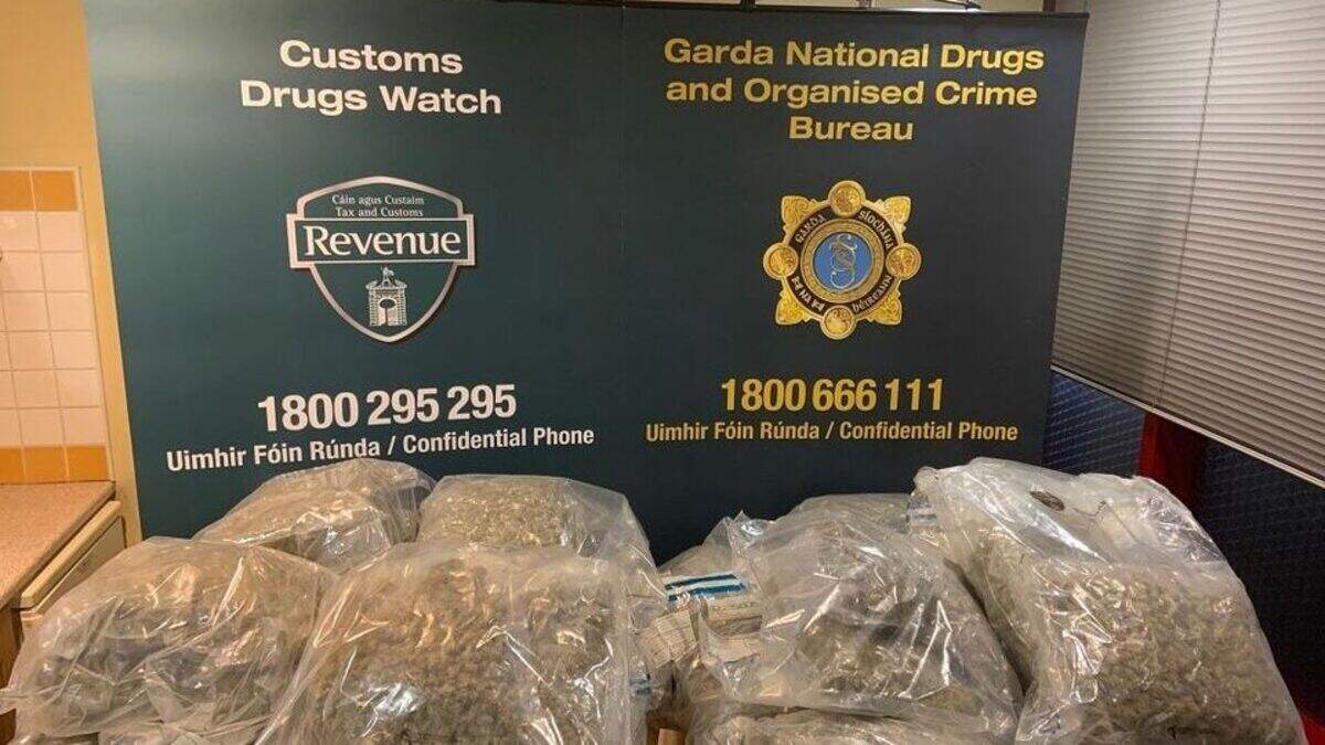 Man arrested and €740,000 worth of cannabis seized on truck arriving ...