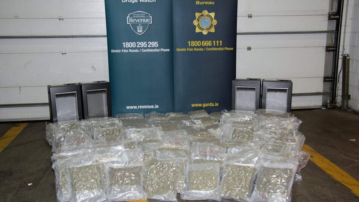 Two men arrested after huge haul of cannabis herb worth €2.58m seized ...