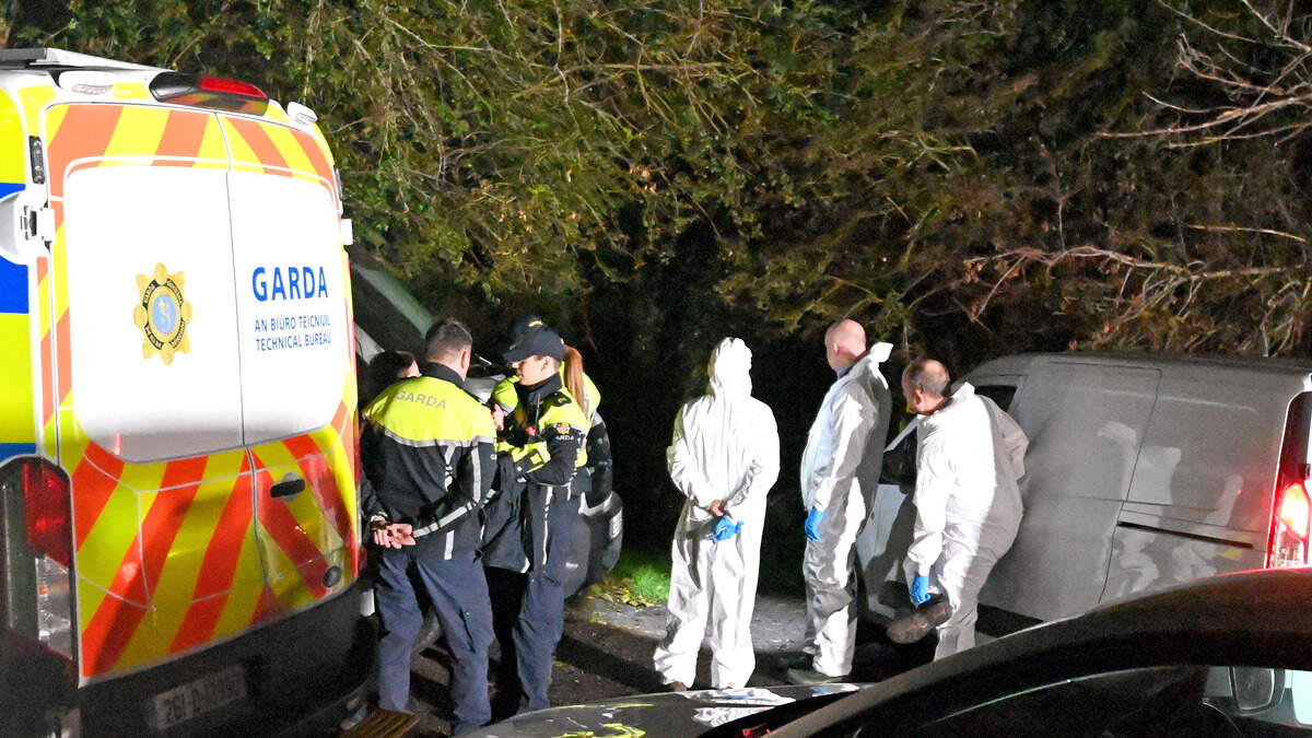 Murder victim lured to his death and shot in head was convicted armed robber