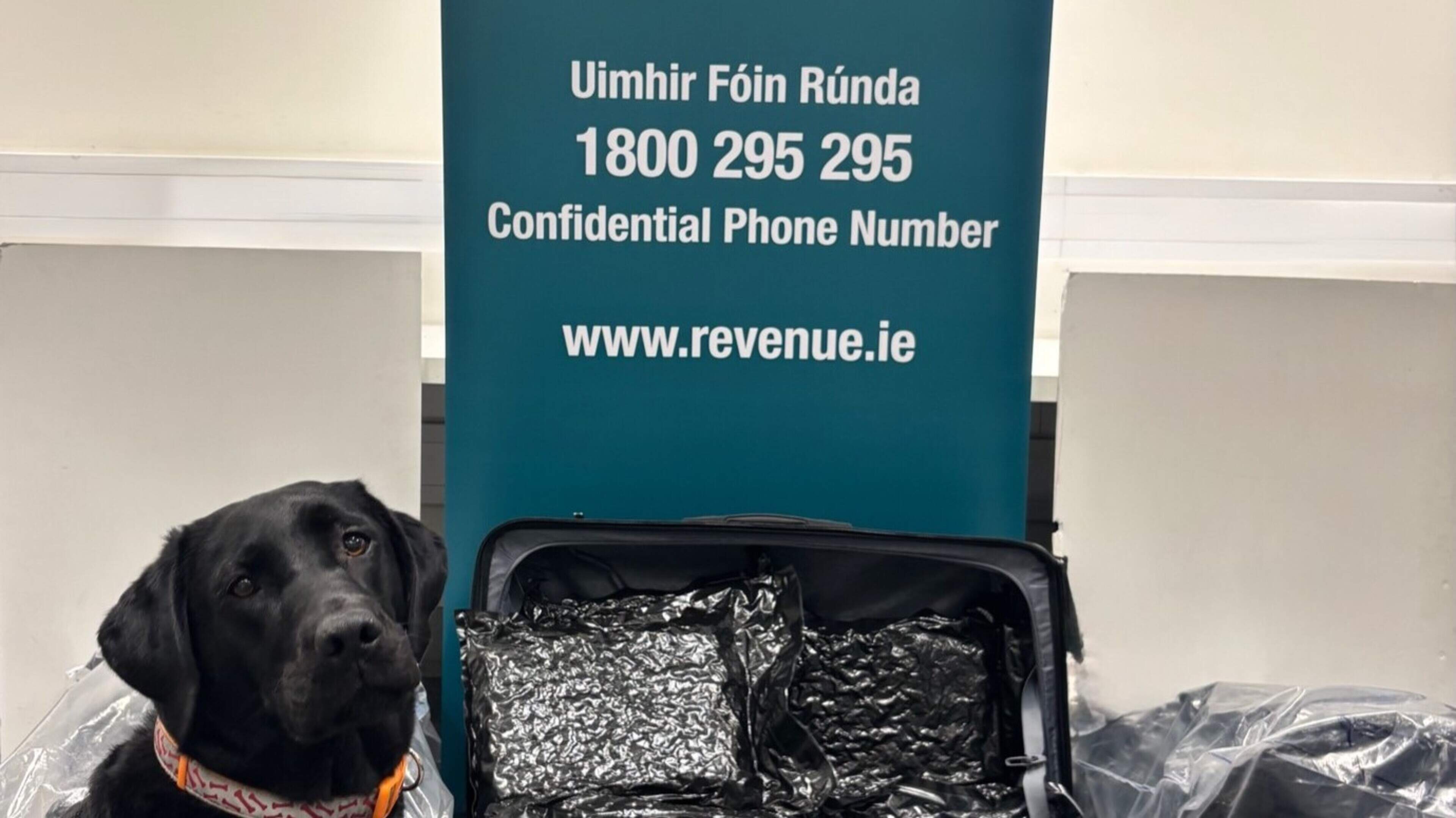 Nine people arrested after €4.7m of herbal cannabis seized at Dublin Airport