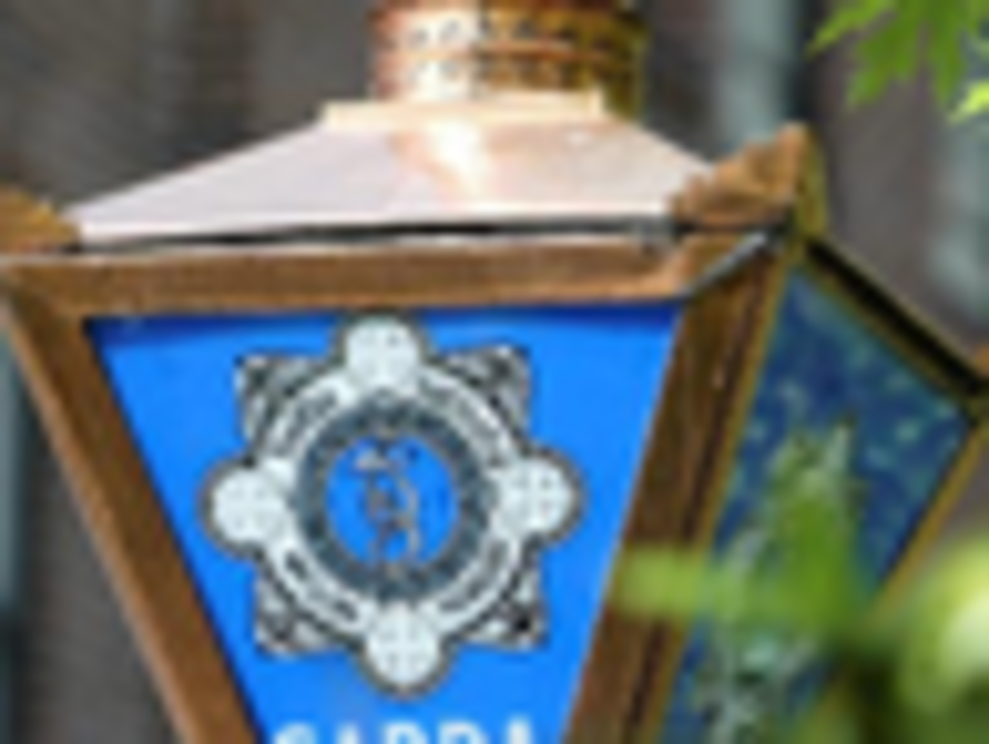 Five members of infamous burglary mob caught red-handed by gardai ...