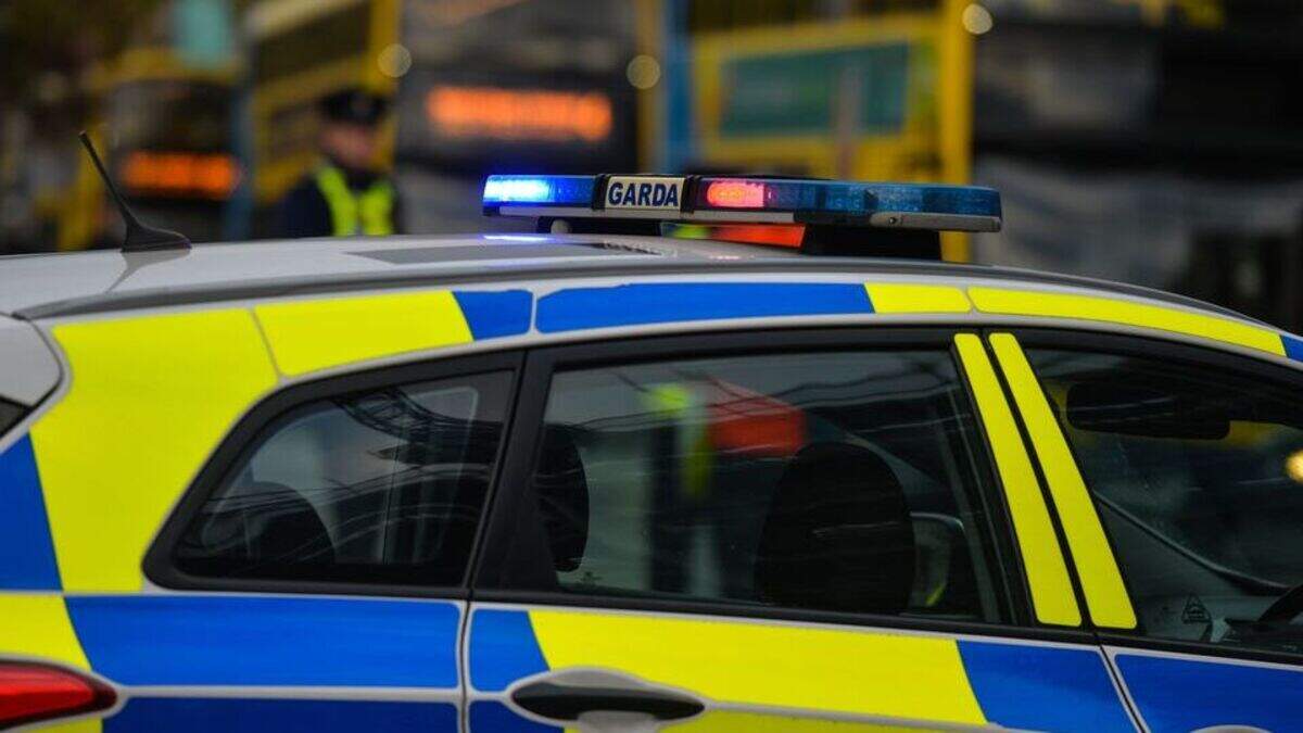 Man had child in car as he crashed into two garda cars during high ...