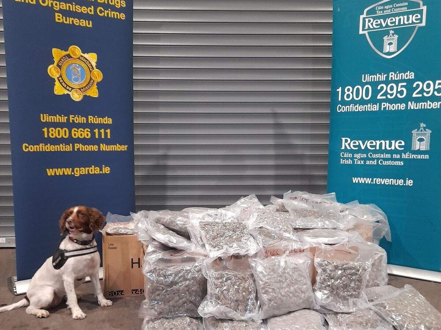 Man arrested as drugs worth €380,000 seized in West Dublin | Crime World