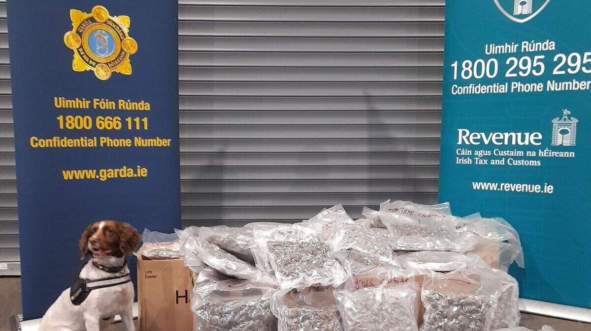 Man arrested as drugs worth €380,000 seized in West Dublin | Crime World