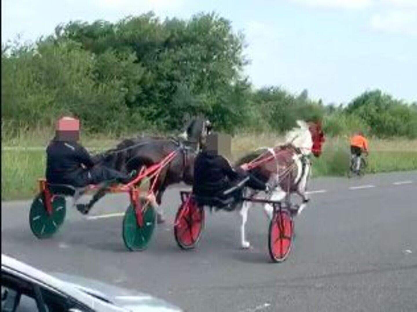 Sulky racing scene in Ireland dominated by gangland figures | Crime World