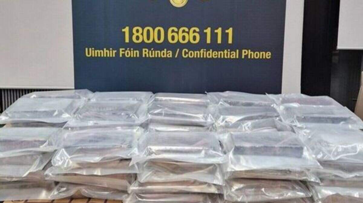 Two men arrested following €5m cocaine seizure in Kildare due in court ...