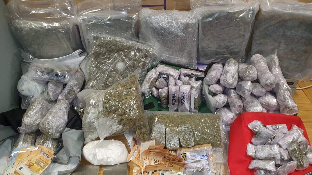 Cannabis worth €220k seized and two men arrested in Dublin raid | Crime ...