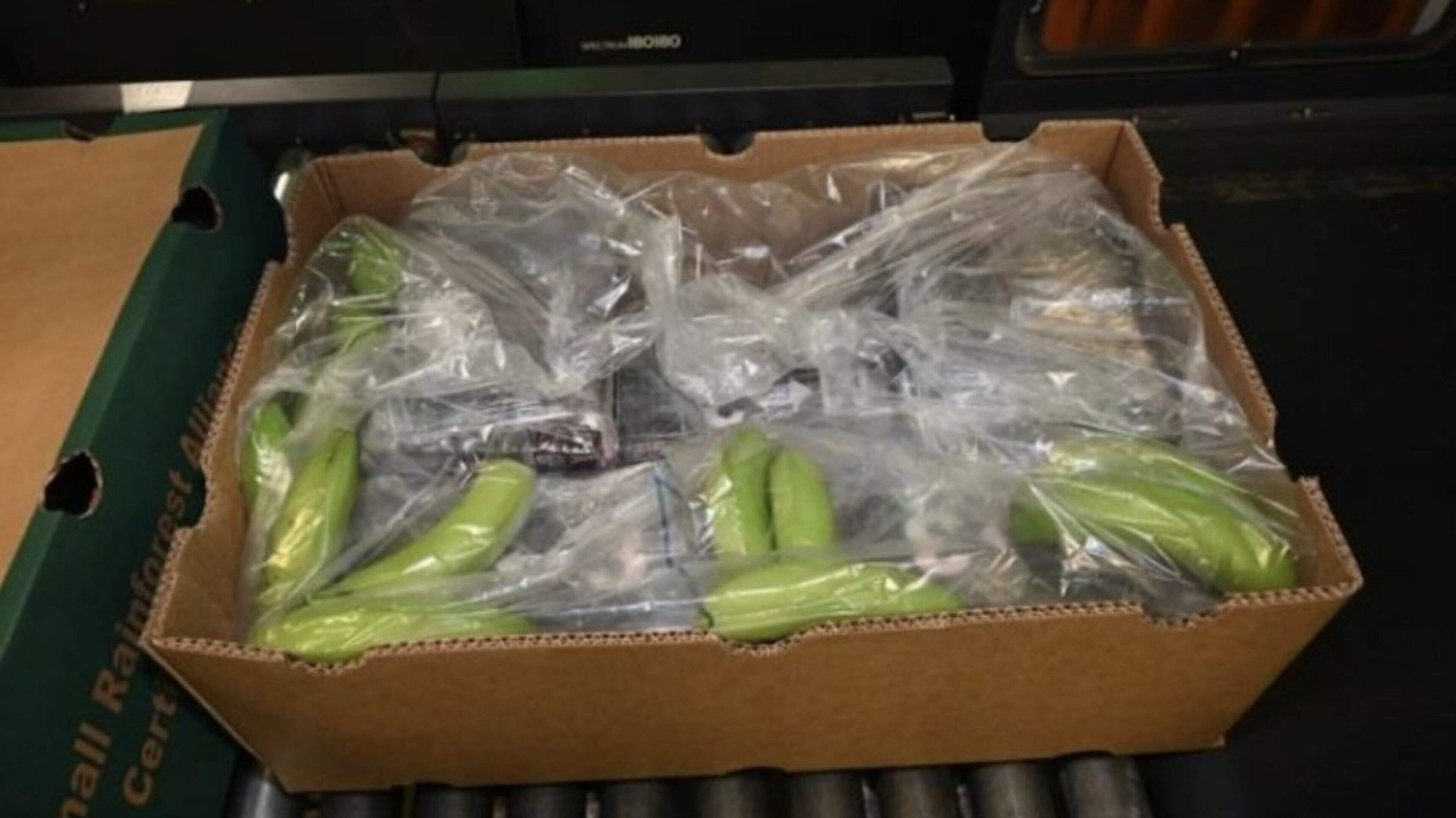 Over €271m of cocaine found stashed in shipment of bananas