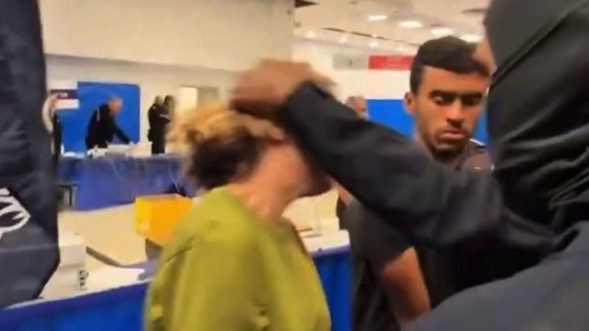 Video released of Irish activist being manhandled as Israeli Security Minister watches on laughing