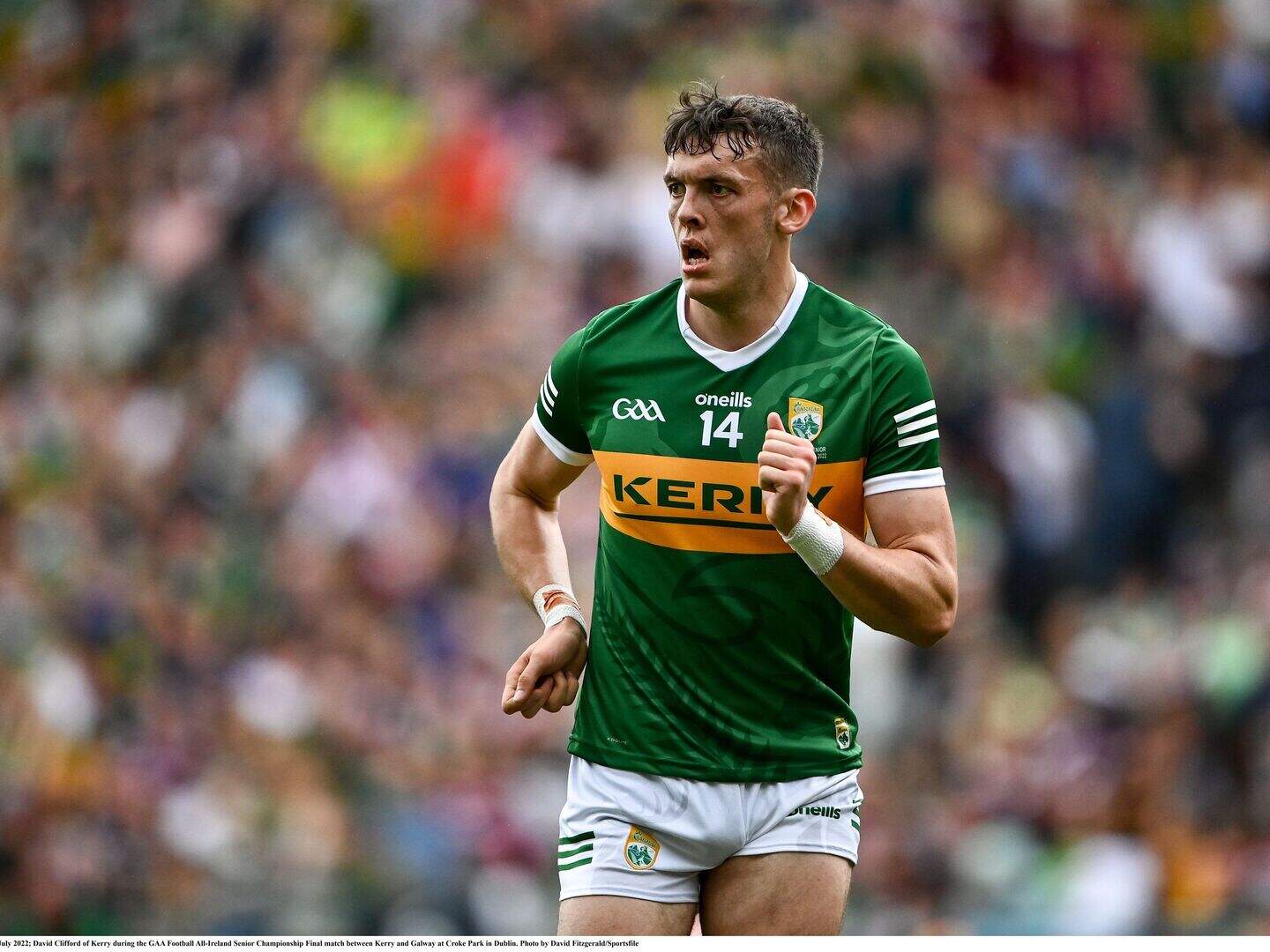 Who’s Number 1 in Pat Spillane’s Top 30 of current GAA stars? | Crime World