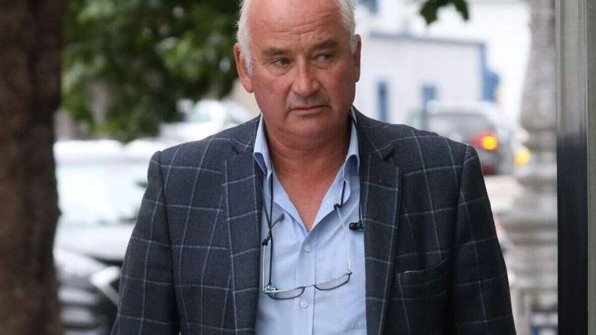 Owner of dog pound fined for having death drug made €80k settlement ...