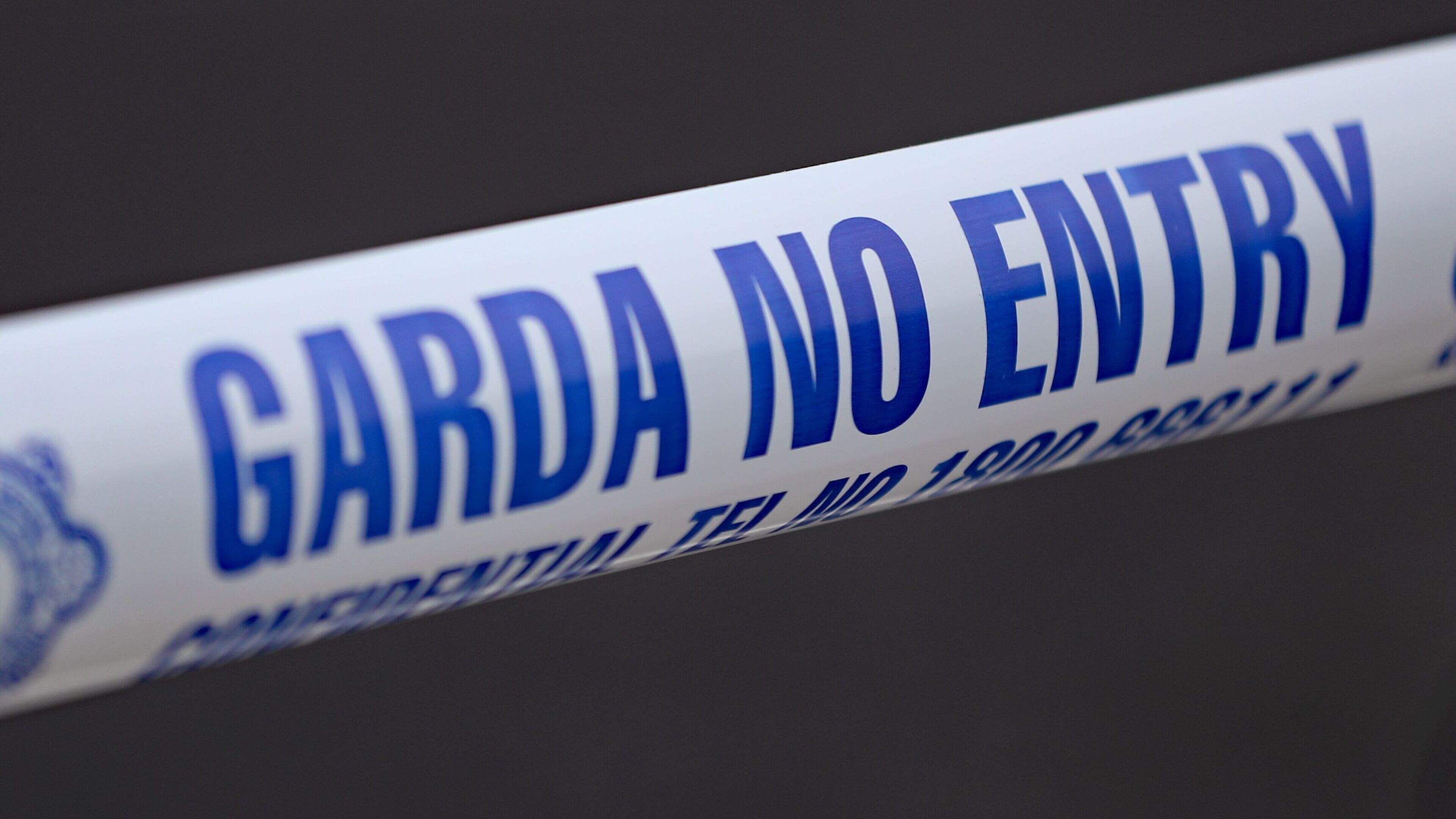 Gardaí seal off scene of violent attack that left two men in hospital 