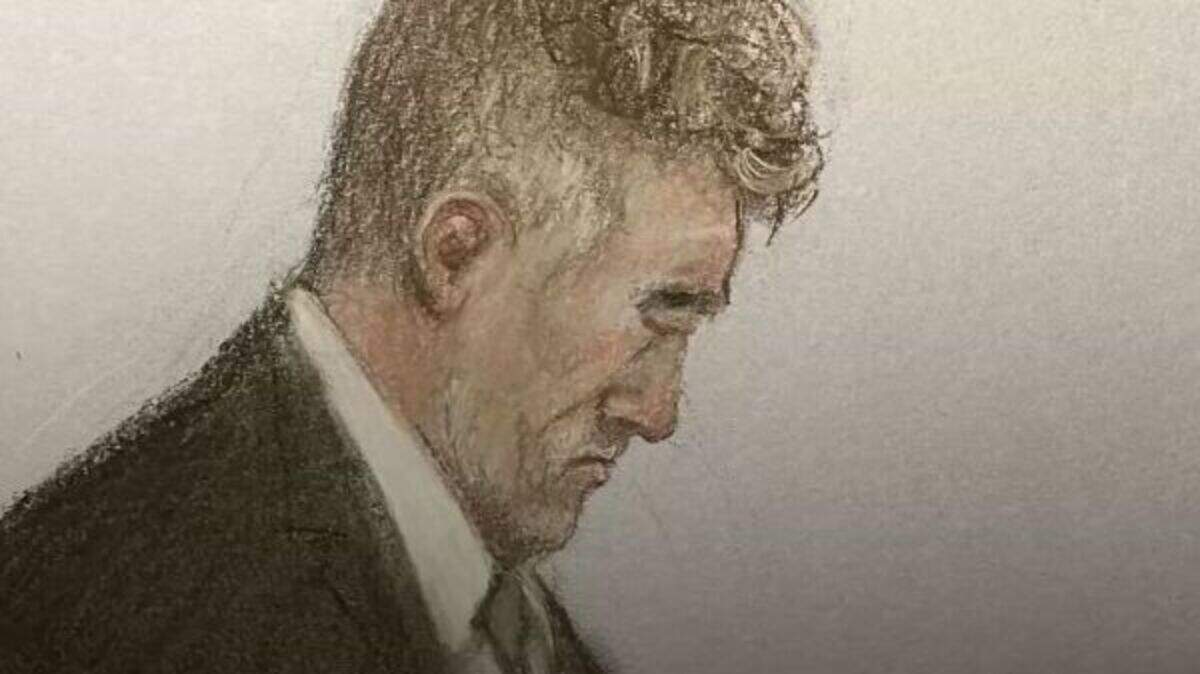 Trial date in November fixed for man accused of driving into crowds at ...