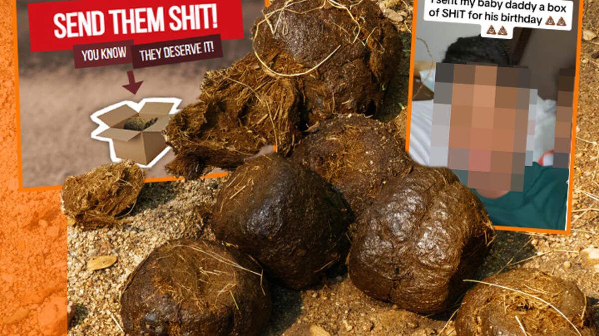 Postman Scat - The foul online service being offered to harassers for ...