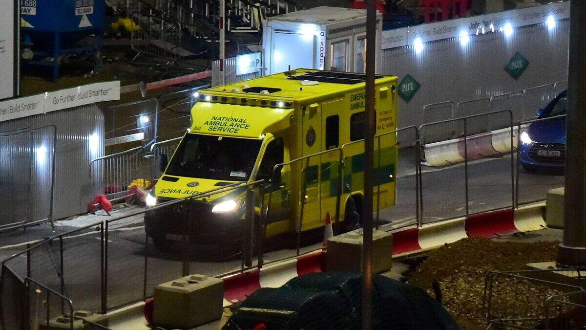 Rosslare ferry death: Man released without charge after woman found ...