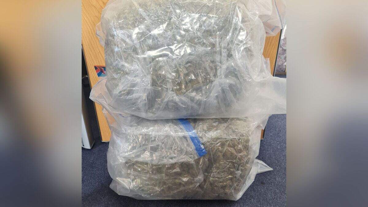 Man (20s) arrested as almost €300k worth of suspected cannabis seized ...