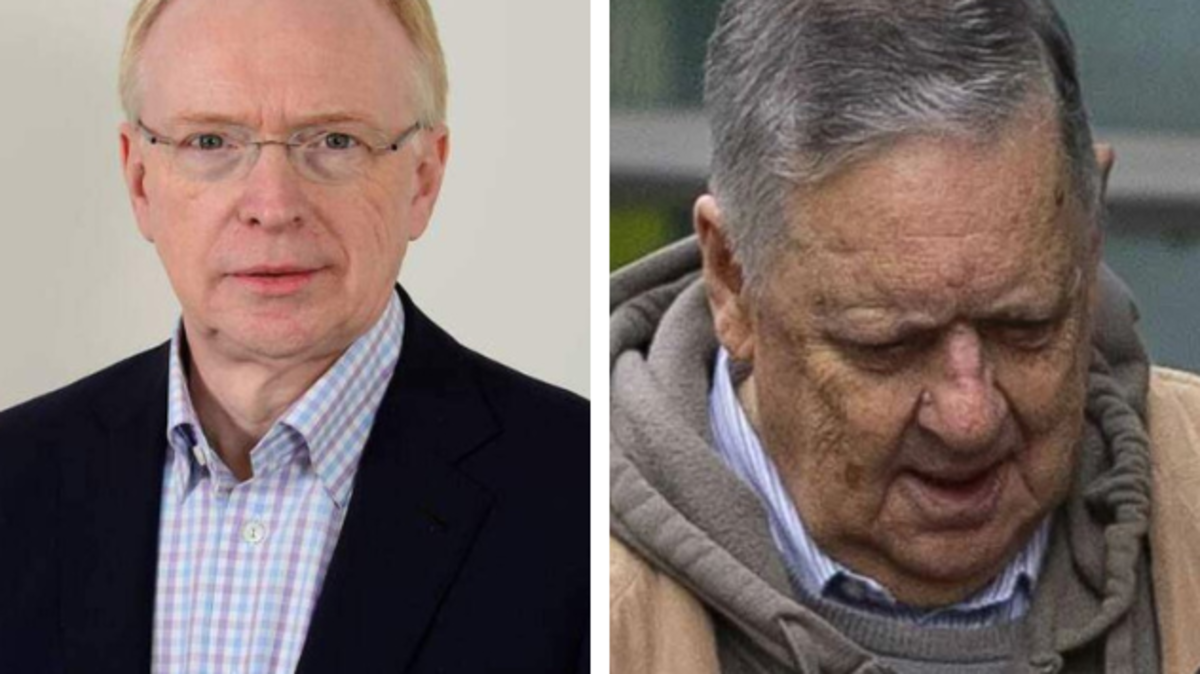 Human rights commissioner removed from role after giving reference for paedophile teacher