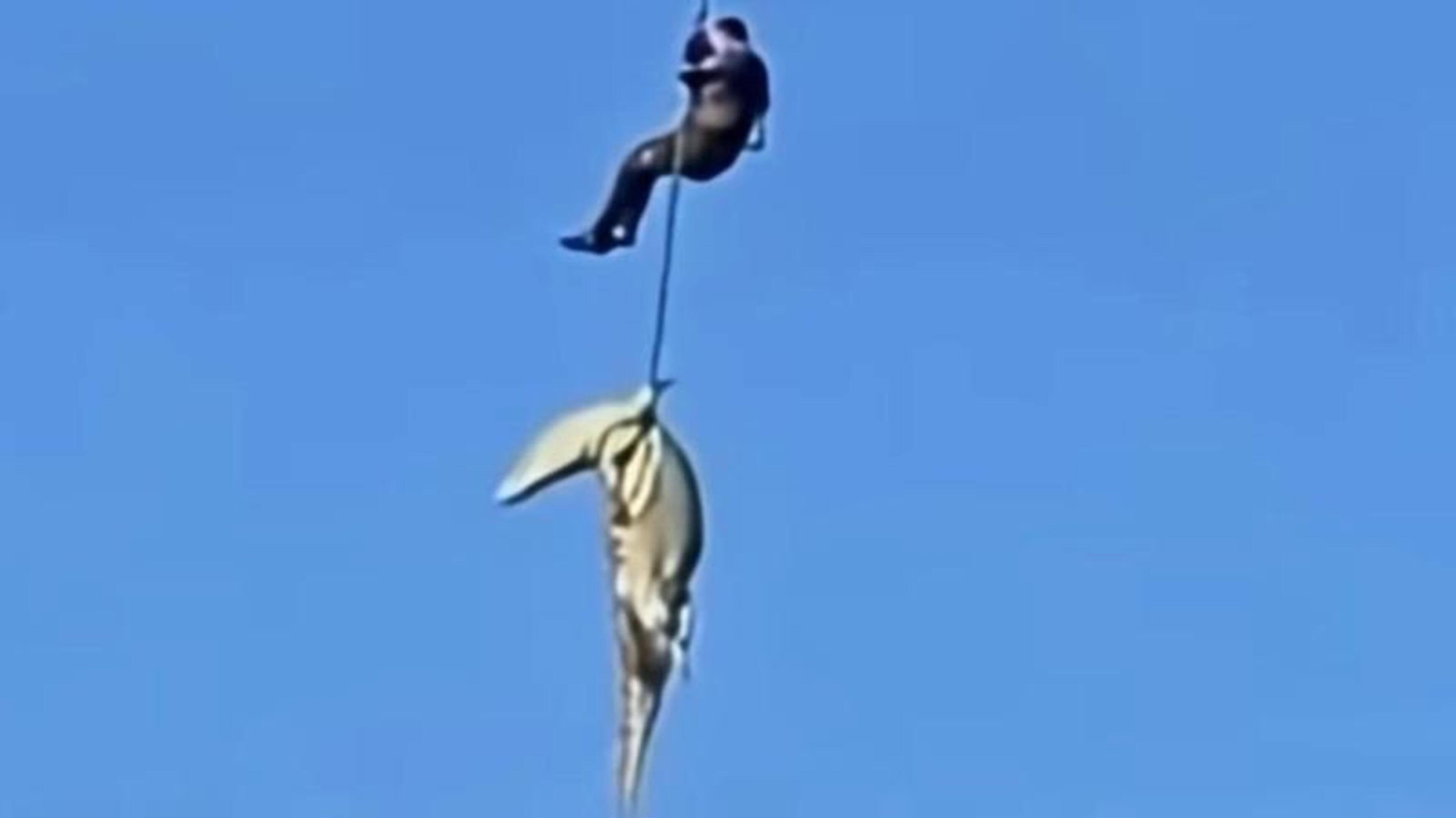 Bizarre video shows 15-foot crocodile with missing hotel owner inside airlifted from river