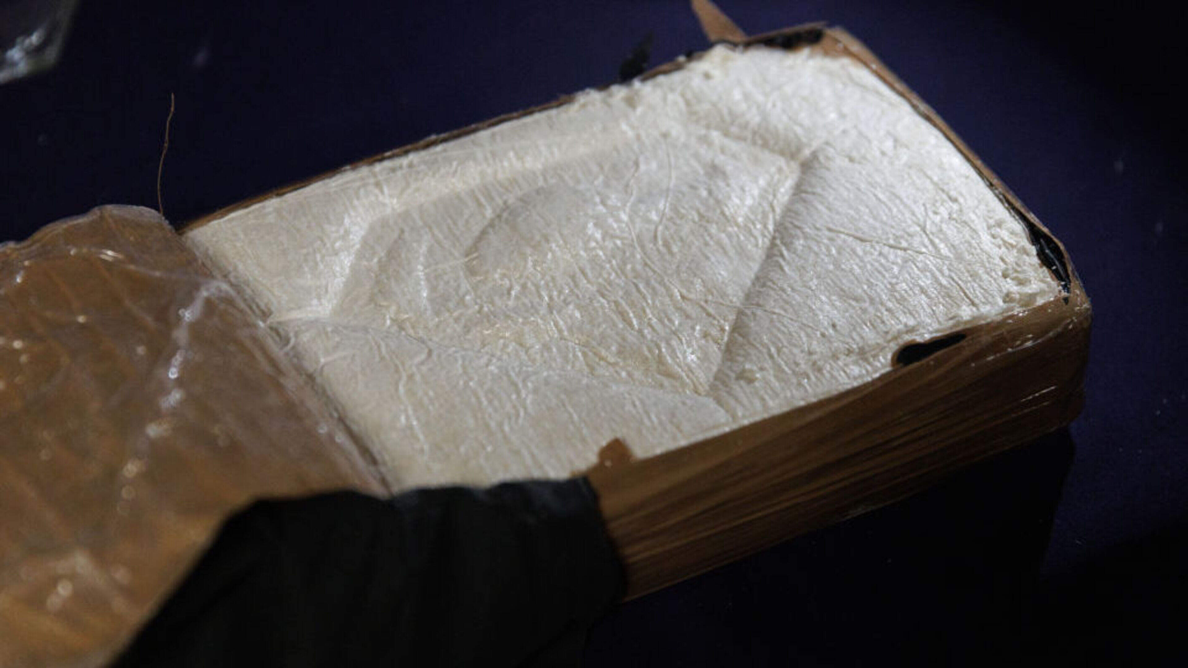 Truck driver (43) caught with €200k of cocaine previously convicted of migrant smuggling
