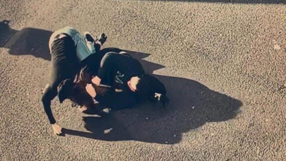Video shows woman ‘pumping blood' as she brawls with another on busy Dublin street